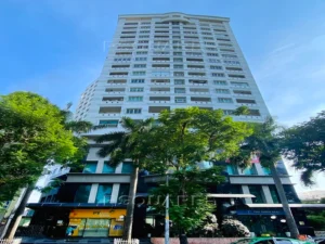 International Plaza